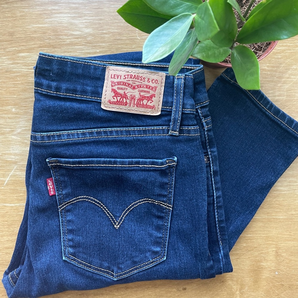 Levi’s 711 Skinny Jeans: Dark Wash 27. Looks brand new!